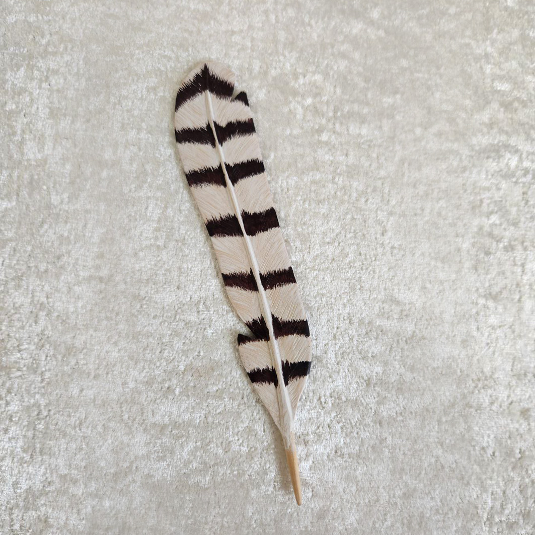 Wooden Feather zebra