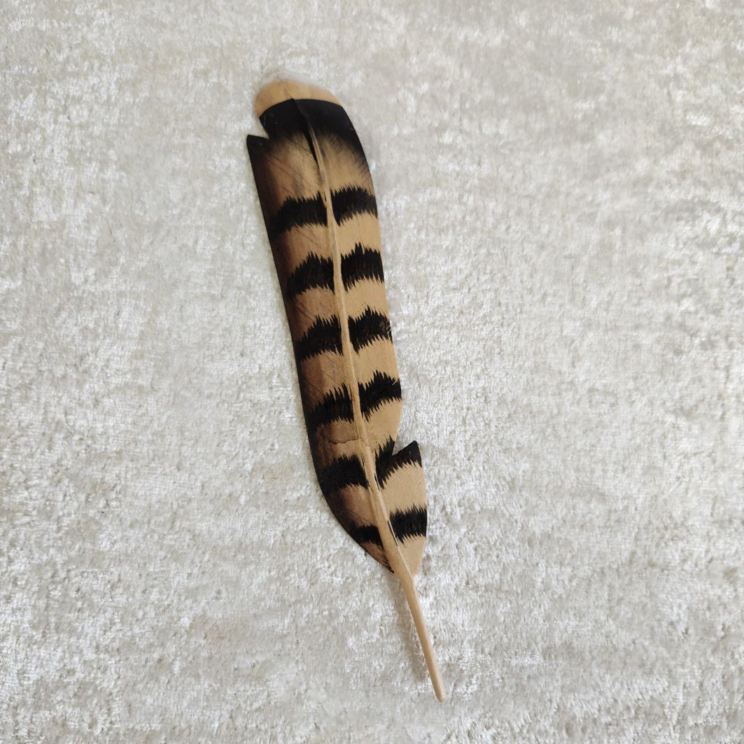Wooden Feather (Zebra Brown)